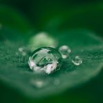 Tech Smart City - Sustainability BG